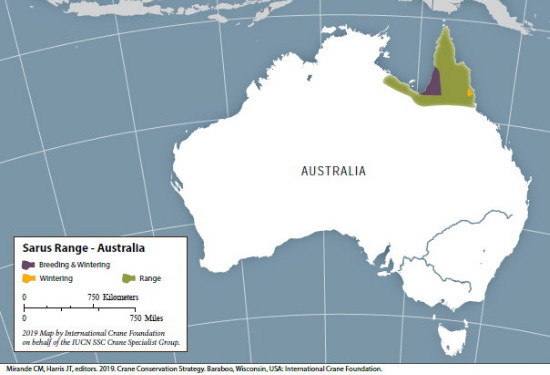 Sarus Australia range