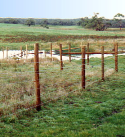 wetland fence
