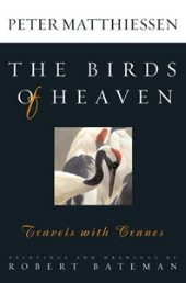 Cover book Birds of Heaven