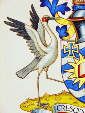 JCU Coat of Arms