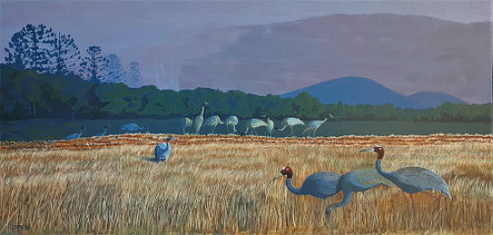Sarus Cranes