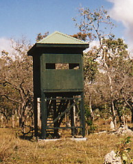 Pandanus Lagoon hide