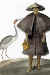 Philippines Sarus Cranes
