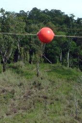 red powerline marker