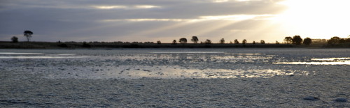 Lake Wongan drying out